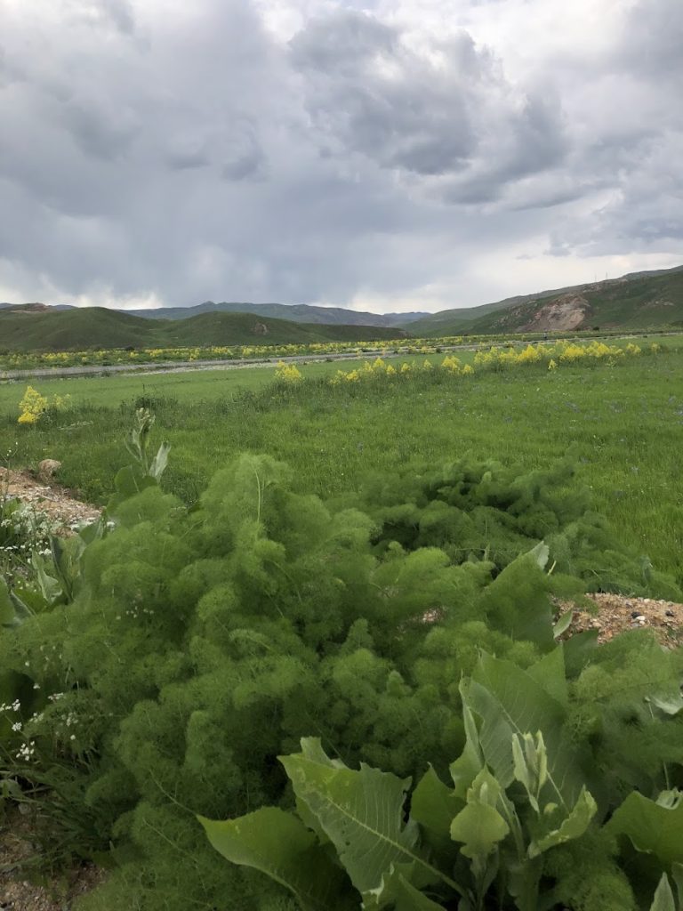 50. Yıl İlköğretim Okulu