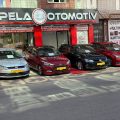 ALPELA OTOMOTİV logosu
