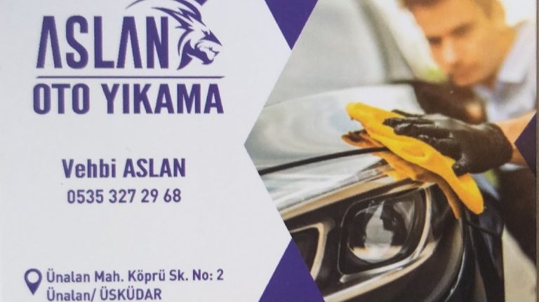 ASLAN OTO YIKAMA