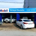 AVRASYA OTOMOTIV logosu
