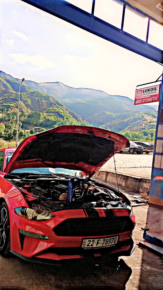 Arıcı otomotiv ve oto yıkama