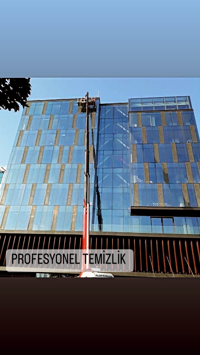 Ariela Temizlik