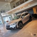 Arkas Otomotiv Servis Ve Tic. A.ş. – Subaru – Service logosu