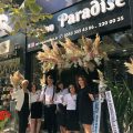 Aysun Akol Haır & makeup studıo logosu