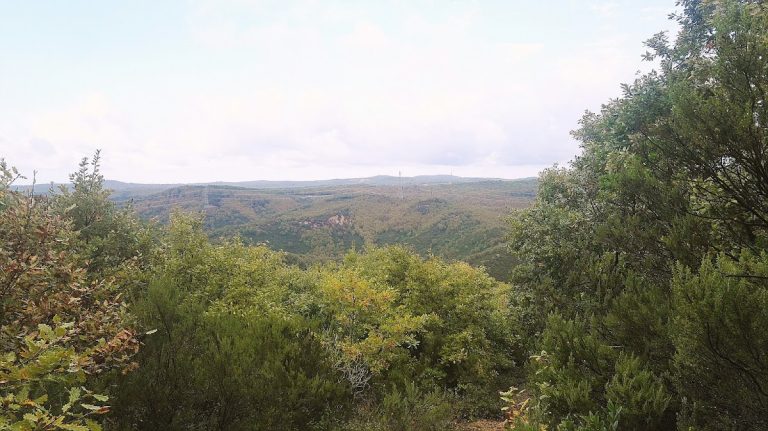 Ballıca İlkokulu