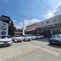 Çınaroğlu Otomotiv logosu