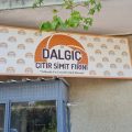 Dalgıç Çıtır Simit Fırını logosu