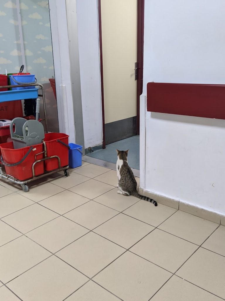 Darıca Farabi Devlet Hastanesi Geleneksel ve Tamamlayıcı Tıp Ünitesi