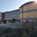 Darıca Şehit Murat Tevlim Anadolu İmam Hatip Lisesi logosu