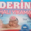 Derin Temizlik Hizmetleri logosu