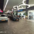 Doğ-sav Otomotiv Ssangyong logosu
