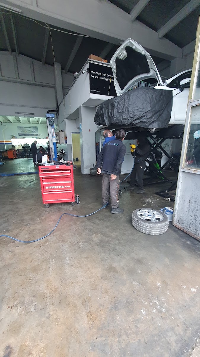 Fidan Otomotiv Sinop