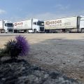 Gerger Taşımacılık Otomotiv Tem.Taş.Teks.San. ve Tic Ltd.Şti logosu