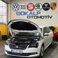 Gökalp Otomotiv Volkswagen Özel Servis logosu