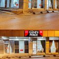 Güney Perde logosu