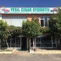 Kaya yeşil çınar otomotiv logosu