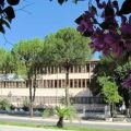Milas Anadolu Lisesi logosu