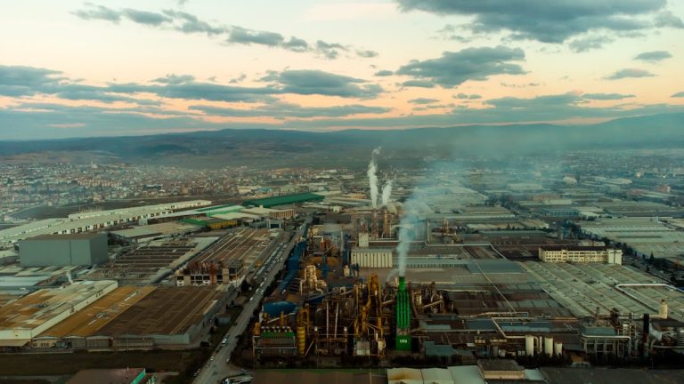 Nayman orman ürünü İnegöl Organize Sanayi Bölgesi
