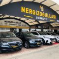 Nergizoğulları Otomotiv logosu