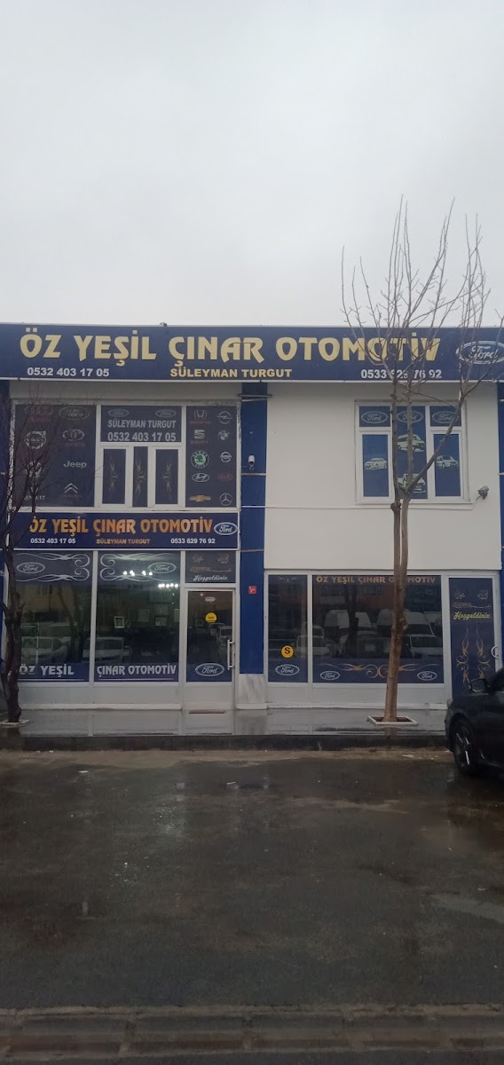 ÖZ YEŞİL ÇINAR OTOMOTİV