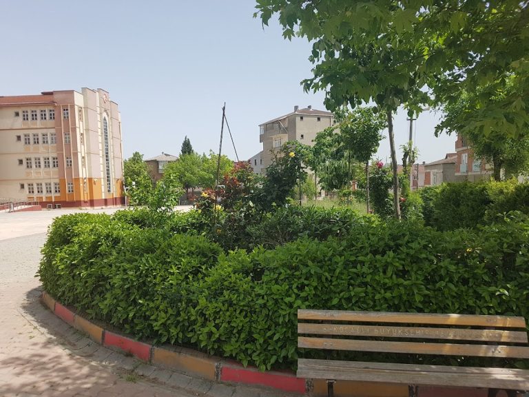 ÖZEL İVME FEN LİSESİ