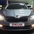 Okur Otomotiv logosu