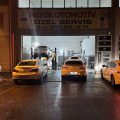 Opel Citroen Peugeot Özel Servis Diyarbakır Nehir otomotiv logosu