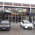 Palmiye Otomotiv logosu