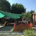 Patika Çocuk Yuvası logosu