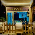 Şahinoğlu Otomotiv ve Gayrimenkul logosu