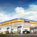 Sunpet logosu