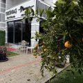 Tekinbaş Meryem hair&beauty Kuaför salonu Manisa logosu