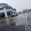 Zeki Kaya Otomotiv logosu