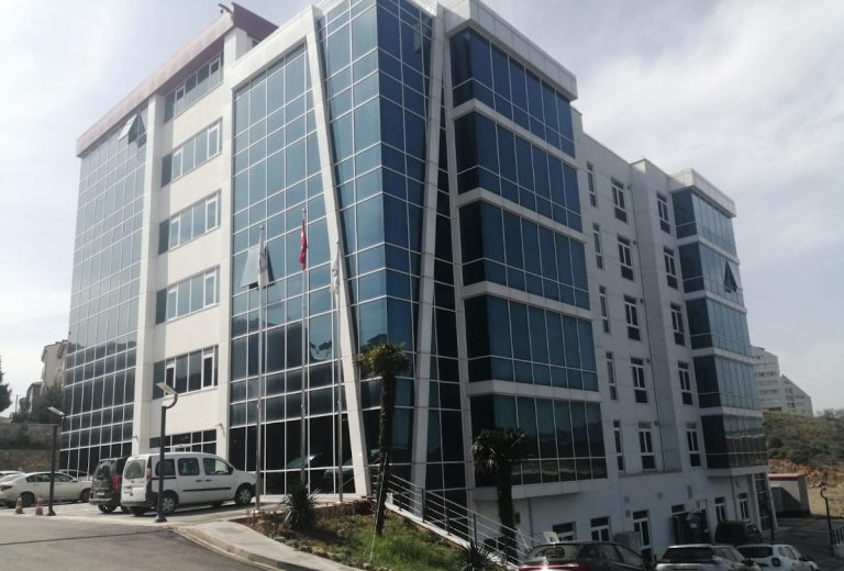 gebze oto beyin tamiri , dpf egr iptali , yazılım, abs beyin