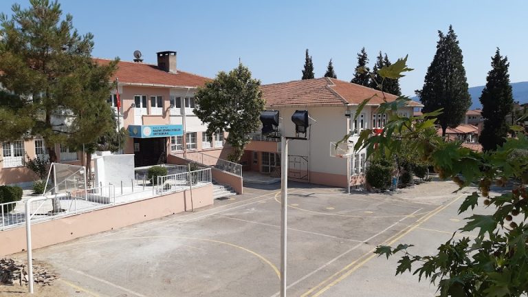 nzi