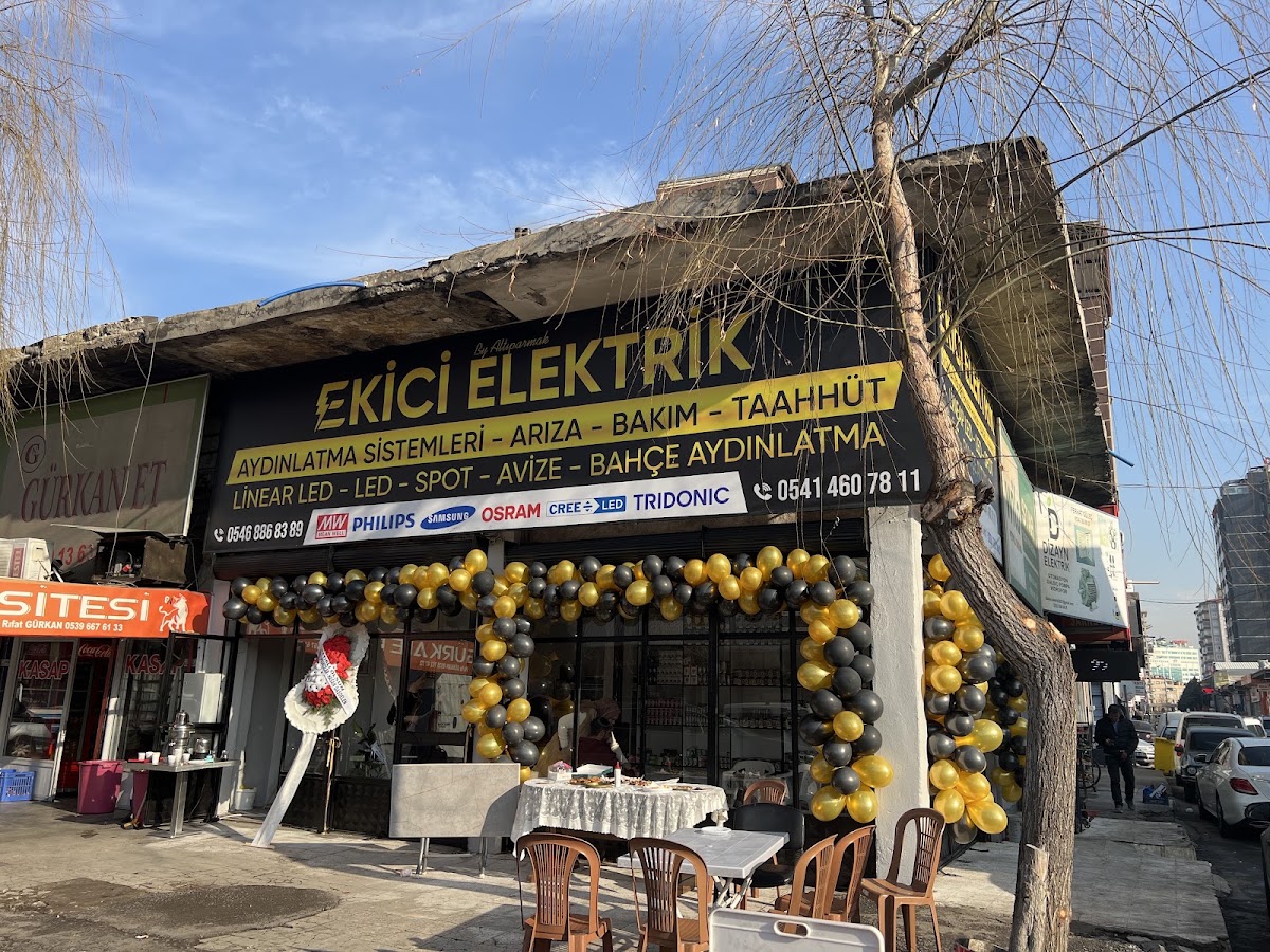Sosyal elektrik