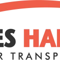 İzmir Hair Transplant | İzmir Saç Ekim logosu