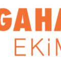 Mega Hair Trans Saç Ekim Merkezi logosu