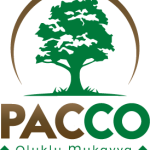 Pacco Ambalaj